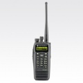Motorola DP 3600 / 3601 (сняты с производства)